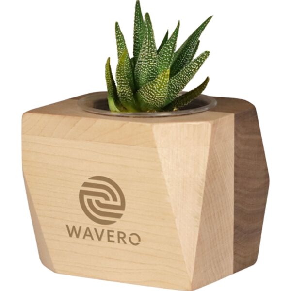 Geometric Wooden Planter with Succulent Thumbnail