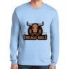 Ultra Cotton ® 100% US Cotton Long Sleeve T Shirt Thumbnail